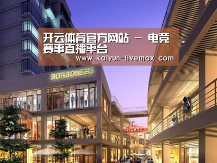 案例展示一(图1)