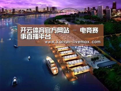 案例展示八