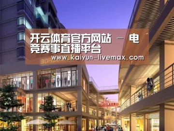 案例展示一