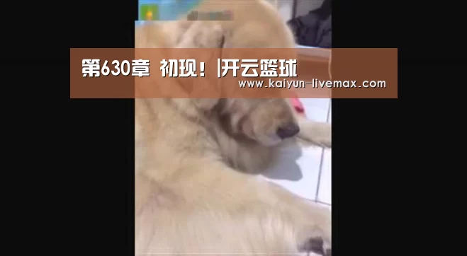 第630章 初现!|开云篮球(图3) 开云体育